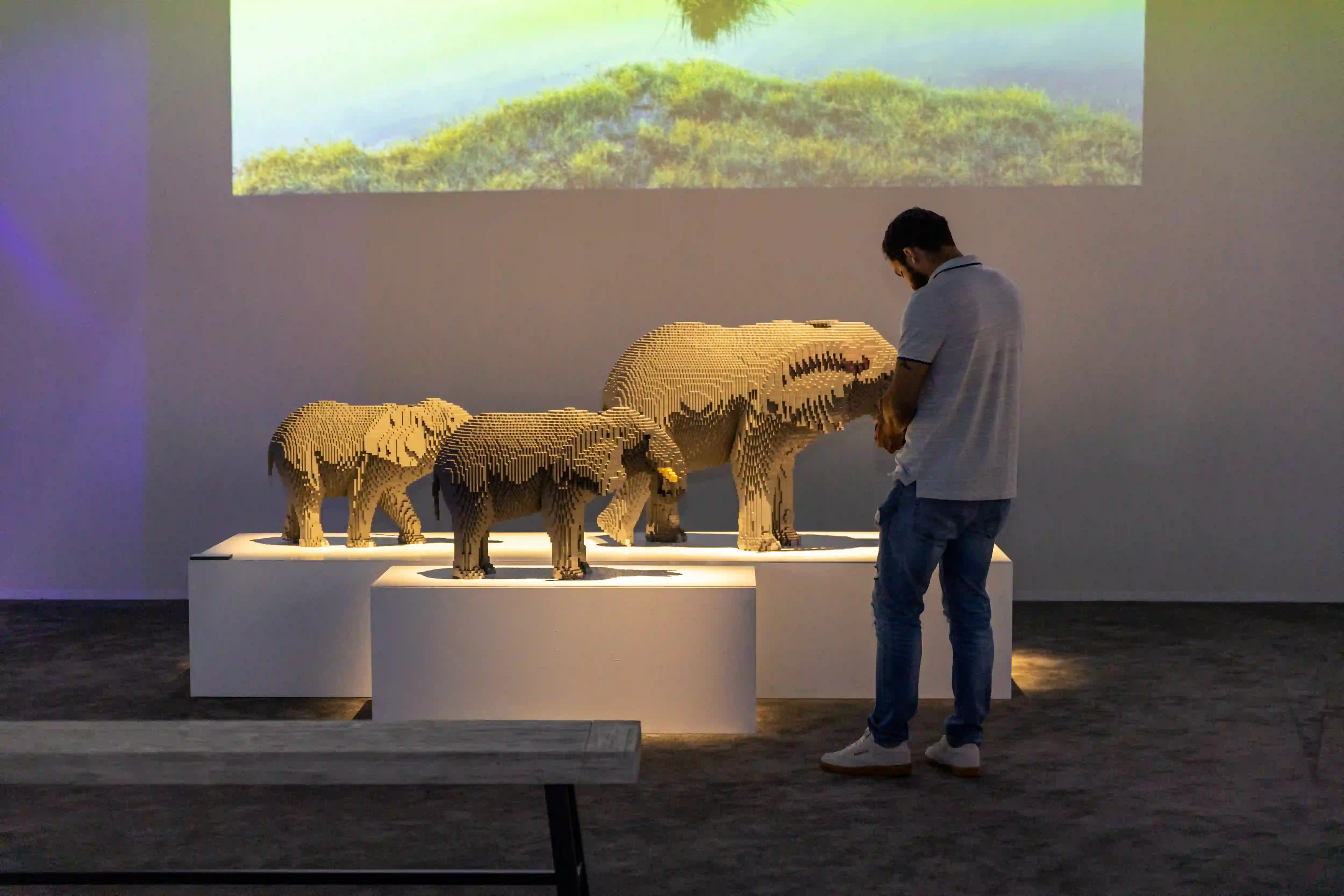 Dinosauro con LEGO® bricks nella mostra The Art Of The Brick Raleigh